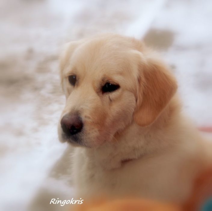 damsi 19.01 (5)